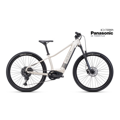 RUBY GX PRO 29 - matná zlatosivá / šedá M (16)