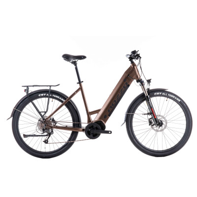 Kolo ROZZO 25 URBAN 780 bronz