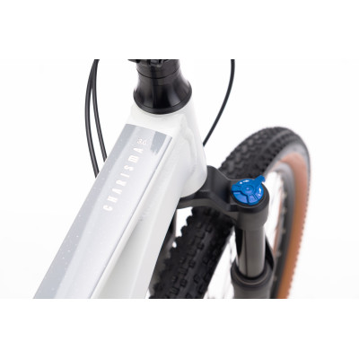 CHARISMA 3.0 29 - matná svetlošedá / lesklá medená S