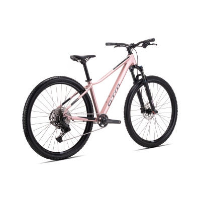 CHARISMA 4.0 29 - staroružová L