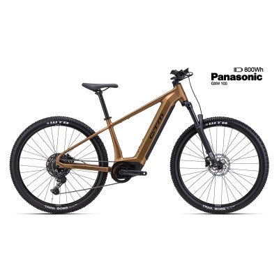 WIRE GX - matná zlatá M (17)