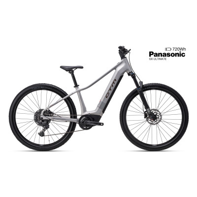 RUBY GX Pro 29 - matná strieborná L (18)