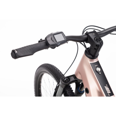 RUBY GX Pro 29 - matná staroružová M (16)