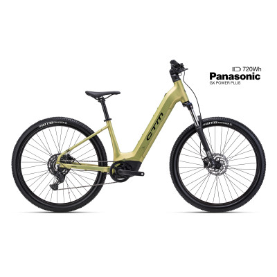 ROXXY GX   - matná zlatá L (18)