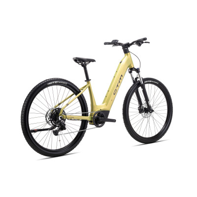 ROXXY GX   - matná zlatá L (18)