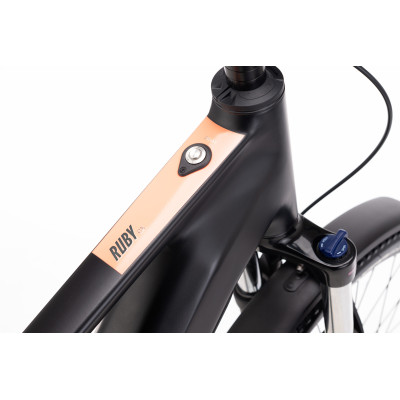 RUBY GX 27,5" E-Allroad - matná čierna M (15")