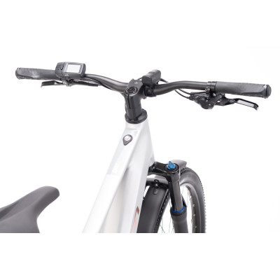 RUBY GX Pro 29" E-Allroad - matná strieborná M (16")