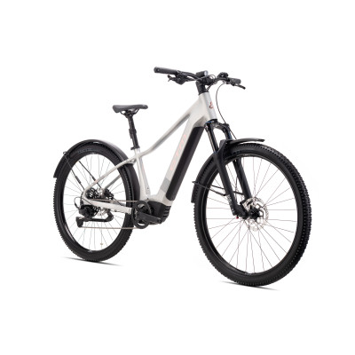 RUBY GX Pro 29" E-Allroad - matná strieborná L (18")