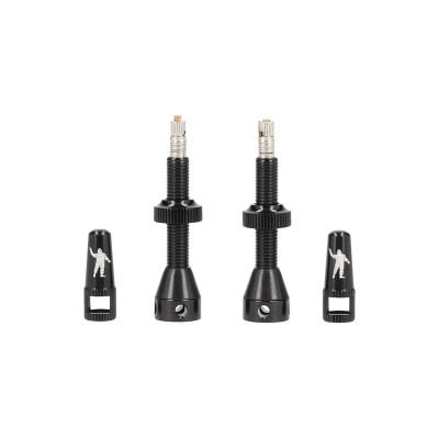 Ventil MICHELIN Tubeless 40mm 2ks