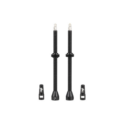 Ventil MICHELIN Tubeless 100mm 2ks