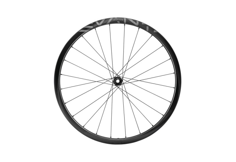 Campagnolo Zadný vypl.koleso  Levante 2-WayFit DB